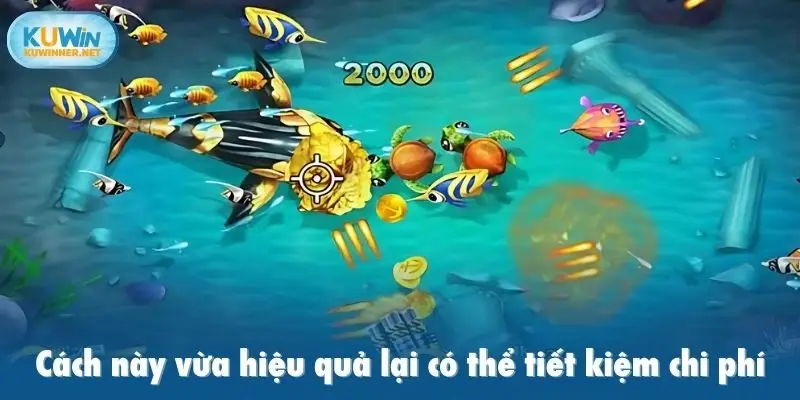 Cách này vừa hiệu quả lại có thể tiết kiệm chi phí