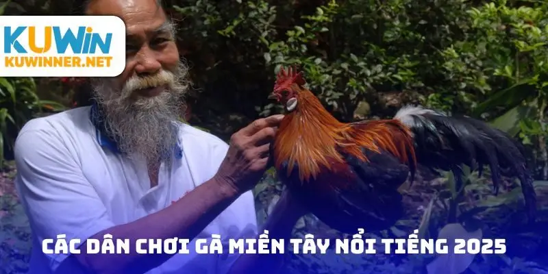 Các dân chơi gà miền tây nổi tiếng 2025