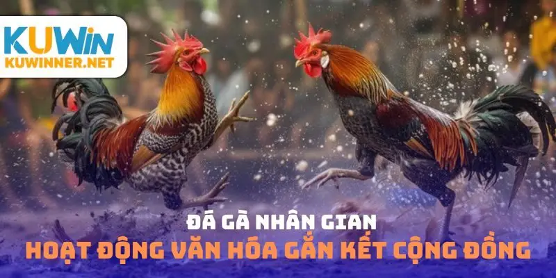 Đá gà nhân gian