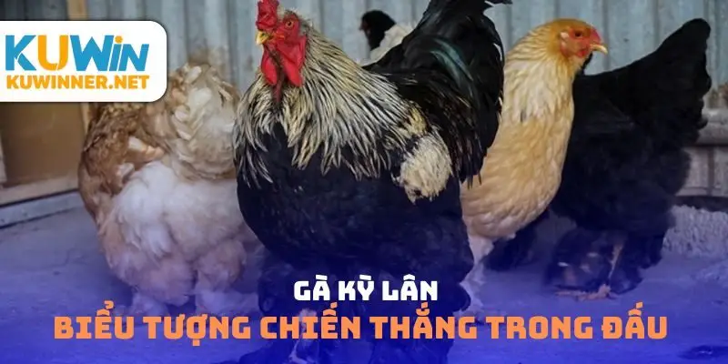 Gà kỳ lân