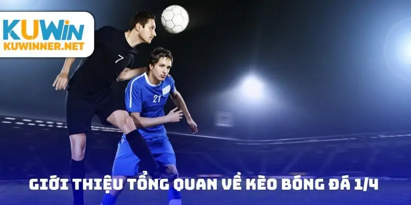 Giới thiệu tổng quan về kèo bóng đá 1/4