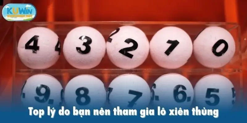 Top lý do bạn nên tham gia lô xiên thủng