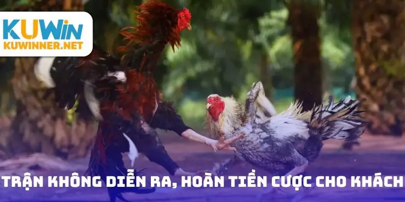 Trận không diễn ra, hoàn tiền cược cho khách