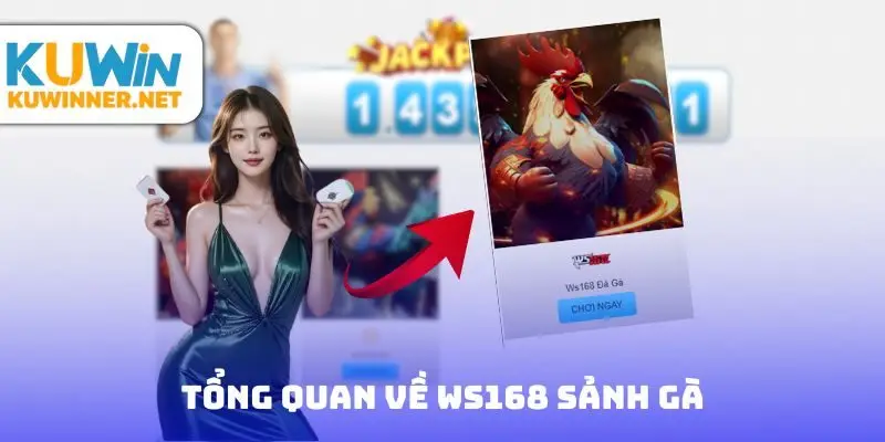 Tổng quan về Ws168 sảnh gà