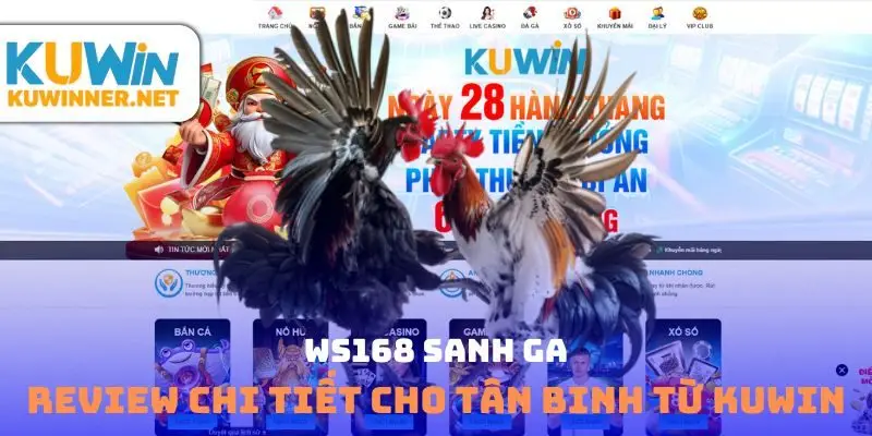 Ws168 sảnh gà